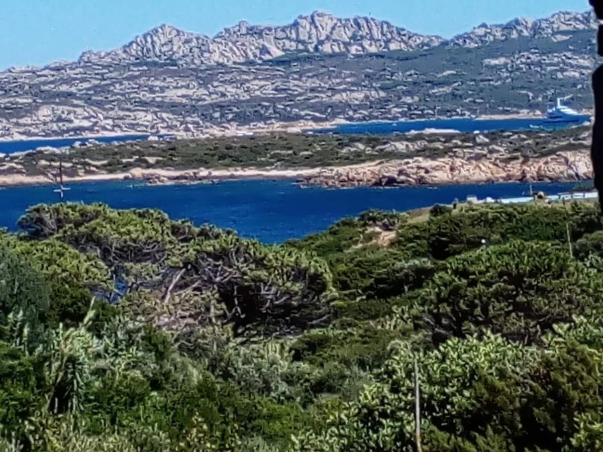 Villa Carlotta La Maddalena La Maddalena  Zewnętrze zdjęcie